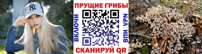 Купить закладки  Холм  Псилоцибиновые грибы Magic Shrooms 
